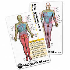 Rapid ID - Dermatomes
